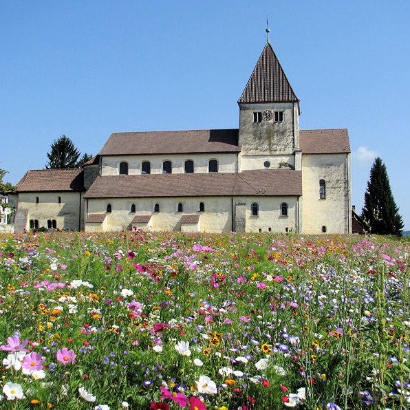 reichenau blume